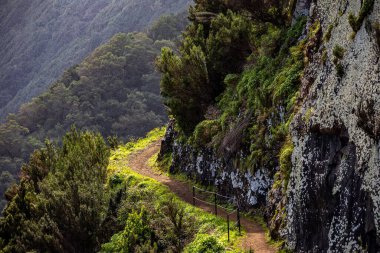 Vereda Larano yürüyüş parkurunda, Madeira