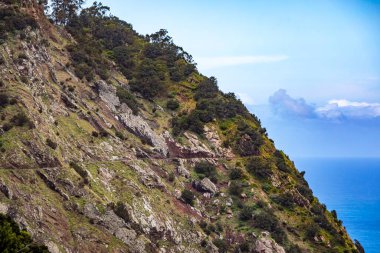 Vereda Larano yürüyüş parkurunda, Madeira