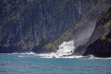 Vereda Larano yürüyüş parkurunda, Madeira