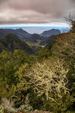 Sonbaharda Madeira Adası
