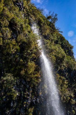 Sonbaharda Madeira Adası