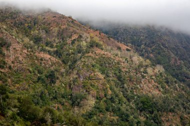 Sonbaharda Madeira Adası