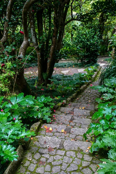 stock image Sintra old town in Portugal