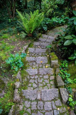 Portekiz 'in Sintra eski kasabası