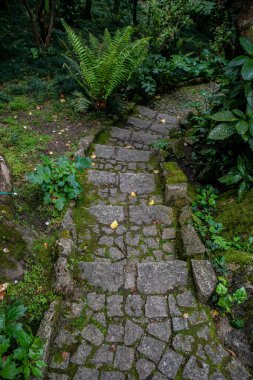 Portekiz 'in Sintra eski kasabası