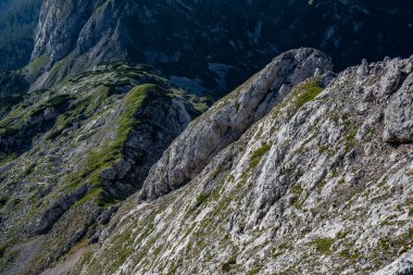 Bohinj 'deki Kednjovec tepesine yürüyüş
