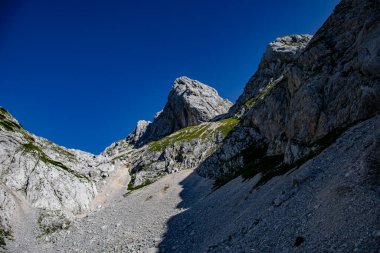 Bohinj 'deki Kednjovec tepesine yürüyüş