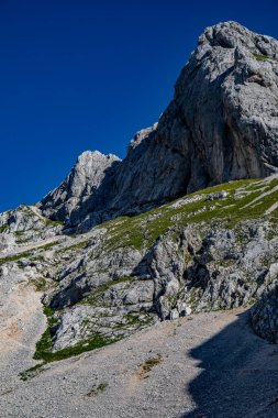Bohinj 'deki Kednjovec tepesine yürüyüş