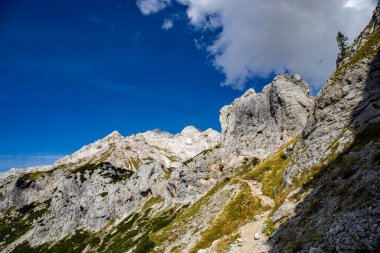 Plemenice 'den Triglav' a yürüyüş turu