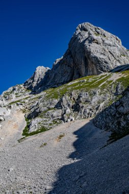 Bohinj 'deki Kednjovec tepesine yürüyüş