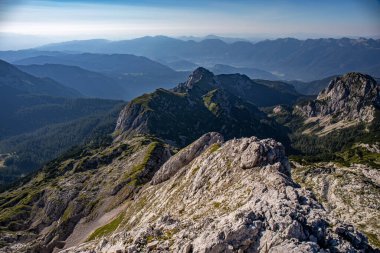 Bohinj 'deki Kednjovec tepesine yürüyüş