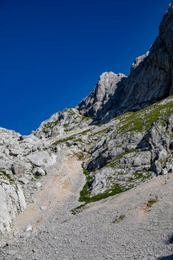 Bohinj 'deki Kednjovec tepesine yürüyüş