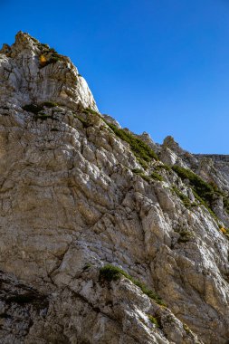 Plemenice 'den Triglav' a yürüyüş turu