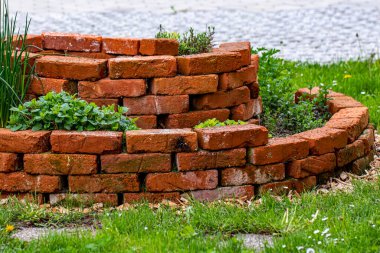 Brick circle for herbal garden