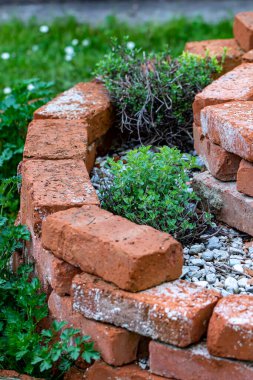 Brick circle for herbal garden