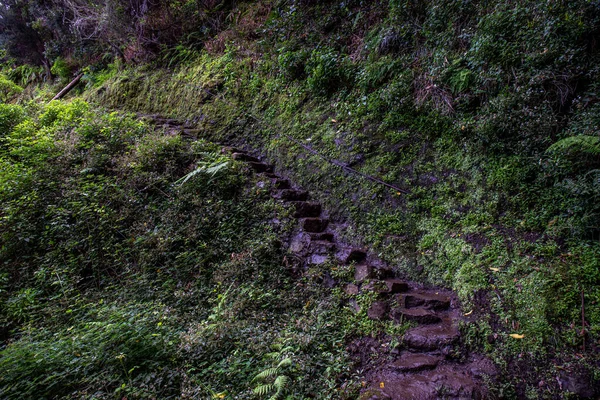 Stairs Nature Europa — Foto de Stock