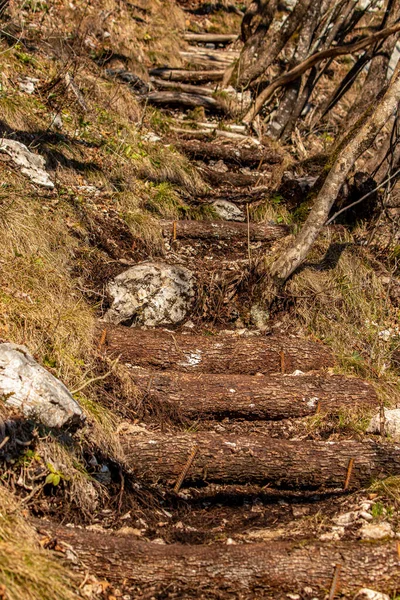 Stairs Nature Europa — Stockfoto
