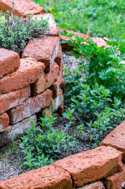 Brick circle for herbal garden