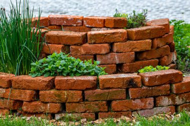 Brick circle for herbal garden