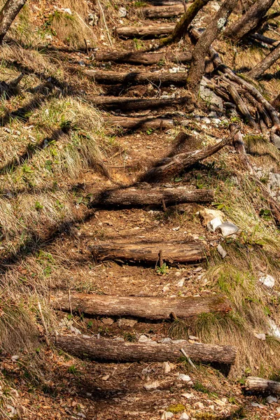 Treppen Draußen Der Natur Europa — Stockfoto