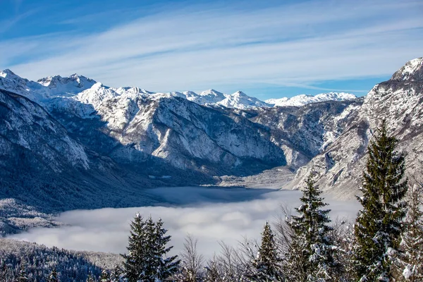 stock image Beautiful Bohinj lake in Slovenia