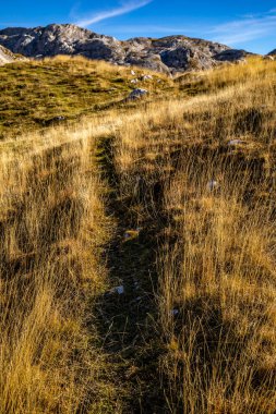 Yüksek dağlarda dağ yolu