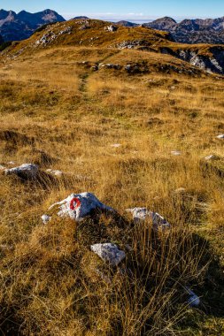 Yüksek dağlarda dağ yolu