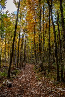 Yüksek dağlarda dağ yolu