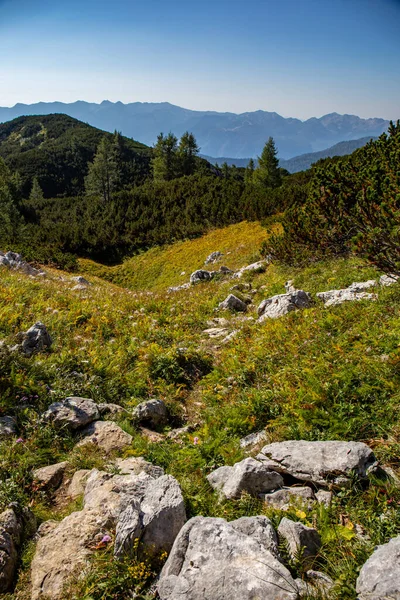 Гірський Шлях Високих Горах — стокове фото