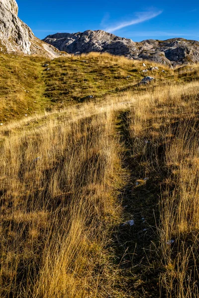 Mountain path in high mountains