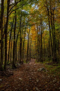 Yüksek dağlarda dağ yolu