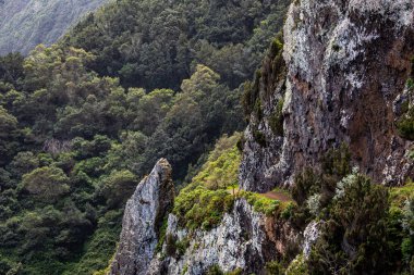 Yüksek dağlarda dağ yolu