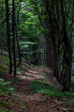 Yüksek dağlarda dağ yolu