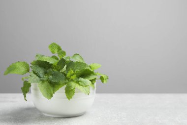 Açık gri masada yeşil limon merhemi yapraklı kase, mesaj için yer.