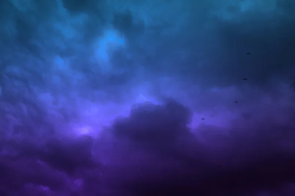 Malowniczy Widok Ptaków Niebie Ciężkimi Deszczowymi Chmurami — Zdjęcie stockowe