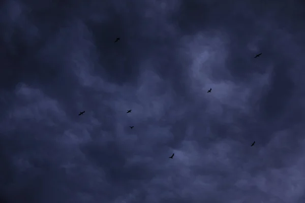 Schilderachtig Uitzicht Vogels Lucht Met Zware Regenachtige Wolken — Stockfoto