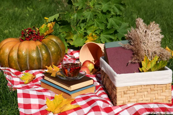 Books Cup Tea Pumpkin Plaid Outdoors Autumn Atmosphere — Stock Photo, Image