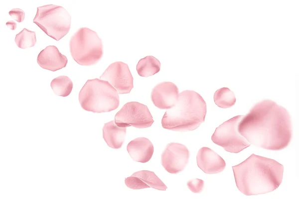 Volare Petali Rosa Sfondo Bianco — Foto Stock