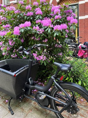 Şehir caddesinde çiçek açan çalıların yanında modern elektrikli bisiklet.