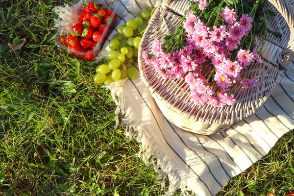 stock image Picnic basket, flowers and berries on blanket outdoors