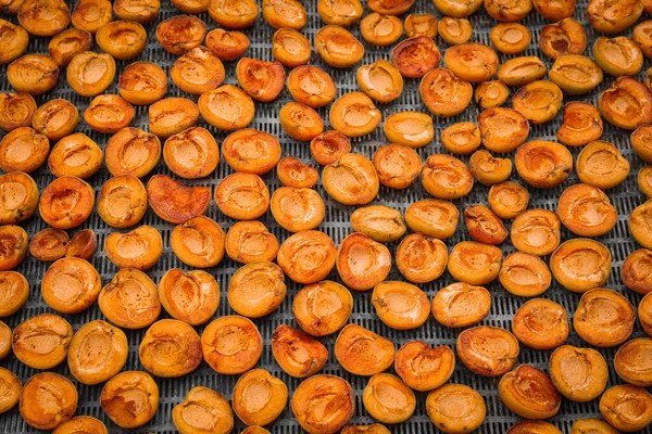 Many Halved Apricots Metal Drying Rack Flat Lay — Stockfoto