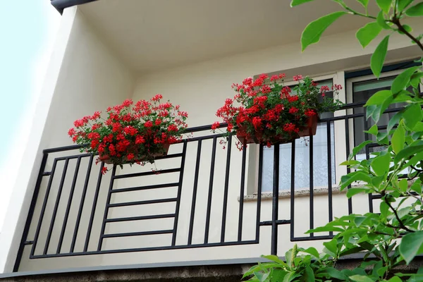 Balkong Dekorerad Med Vackra Röda Blommor Låg Vinkel Utsikt — Stockfoto