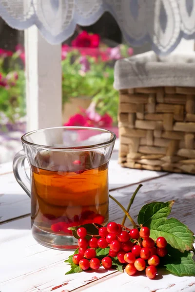 Cup Hot Drink Helpful Viburnum Berries White Wooden Table Indoors — Zdjęcie stockowe
