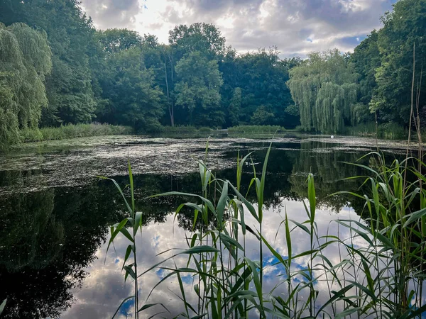 Bulutlu bir günde göllü yeşil park manzarası