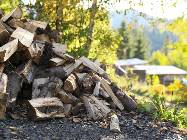 屋外の地面に乾いた薪の山 — ストック写真