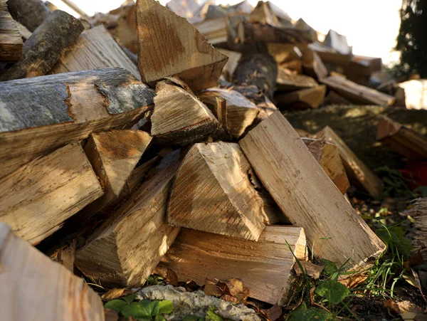 屋外で乾燥した薪の山 クローズアップビュー — ストック写真