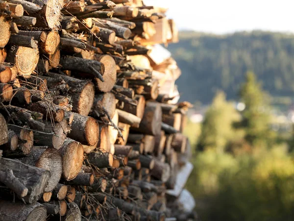 乾燥した薪の山屋外 テキストのためのスペース — ストック写真