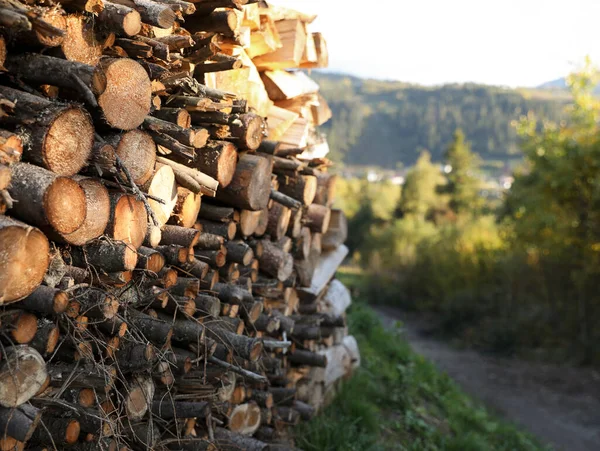 Haufen Trockenen Brennholzes Auf Dem Boden Freien — Stockfoto