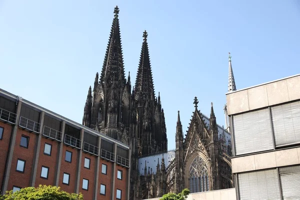 Köln Almanya Ağustos 2022 Farklı Mimariye Sahip Şehrin Güzel Manzarası — Stok fotoğraf