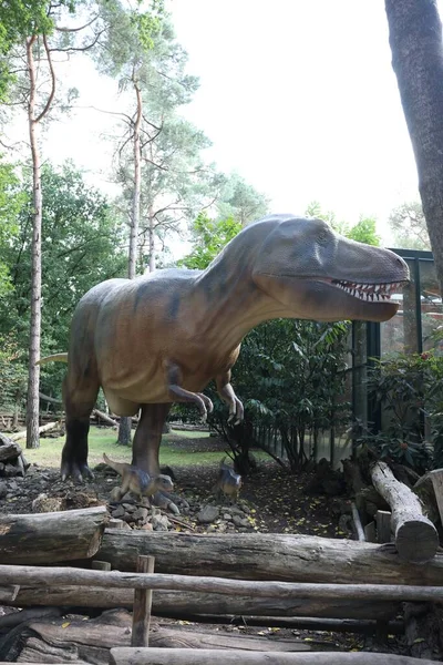 Amersfoort Ολλανδία Αυγούστου 2022 Tyrannosaurus Rex Dierenpark Outdoor — Φωτογραφία Αρχείου